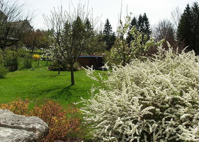 Chambres D'Hotes La Maison Des Chiens Verts